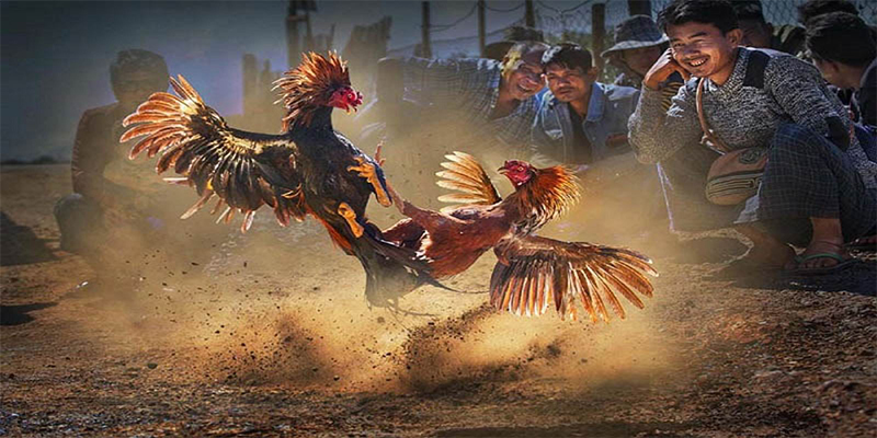 188bet app chơi bắn cá đổi thưởng