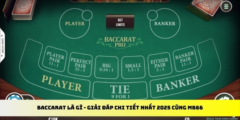 188bet app gà chọi cu cần