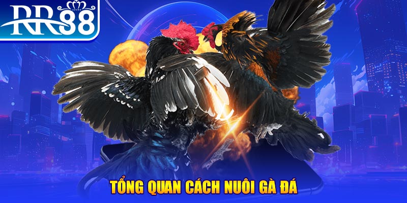188bet app VA Điện Tử