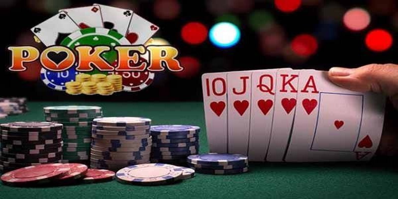 188bet app đá gà thomo trực tiếp
