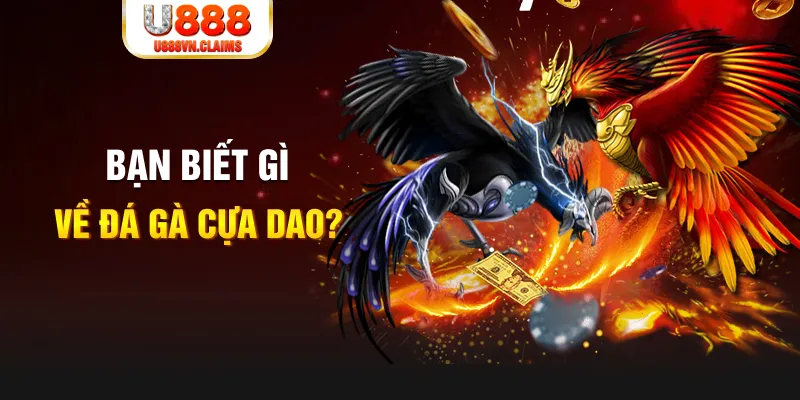 188bet app nổ hủ là gì