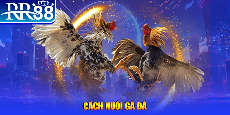 188bet app xổ số an giang