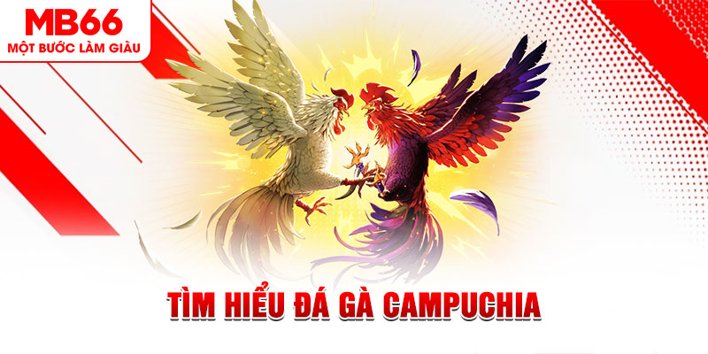 188bet app game đánh bài trên máy tính