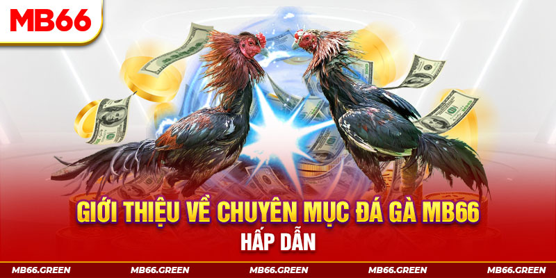 188bet app đăng nhập sòng bạc đổi thưởng