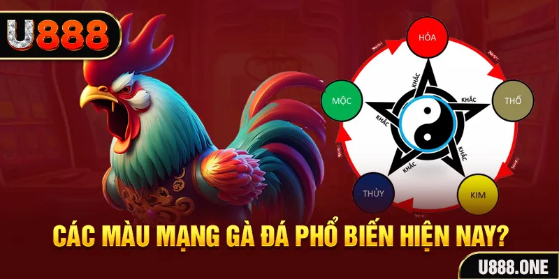 188bet app trực tiếp đá gà 88