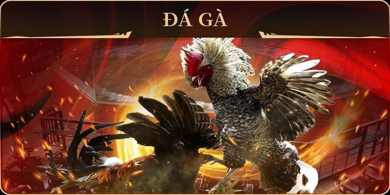 188bet app xổ số miền nam thứ hai