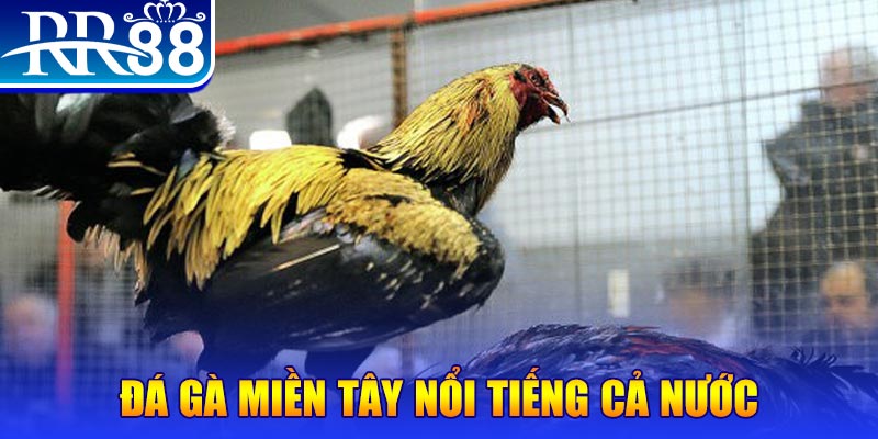 188bet app JILI Game Bài 3d
