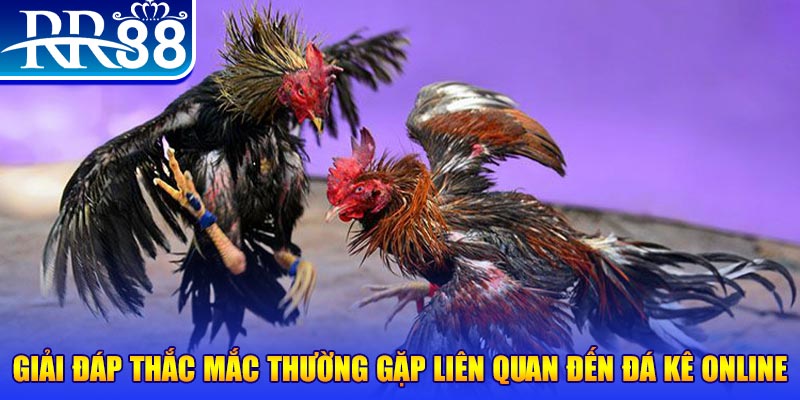 188bet app xổ số đà lạt