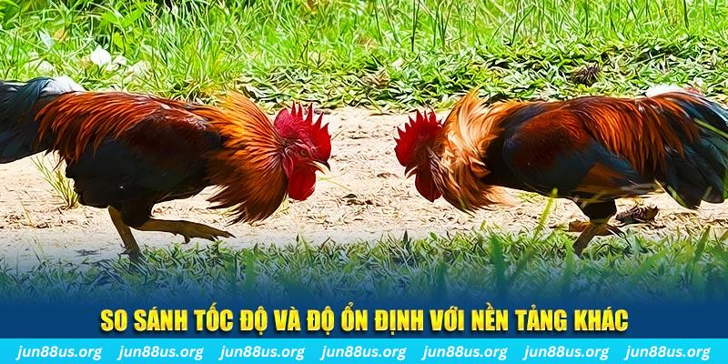 188bet app đá gà hôm nay