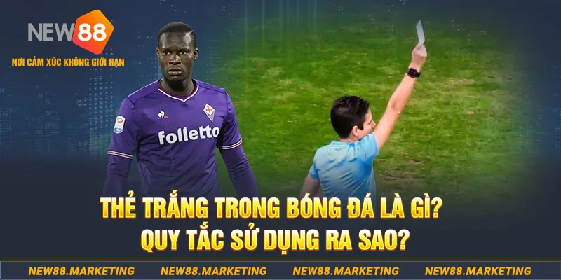 188bet app gà chọi mộc hóa