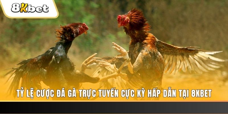188bet app xổ số trực tiếp miền bắc