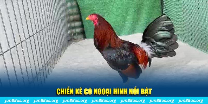 188bet app chạy quảng cáo cho game bài bị phạt như thế nào