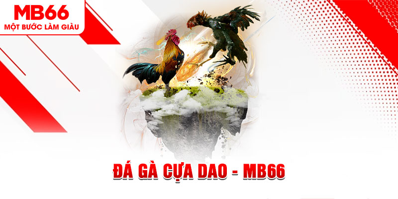 188bet app đá gà sv388 gold