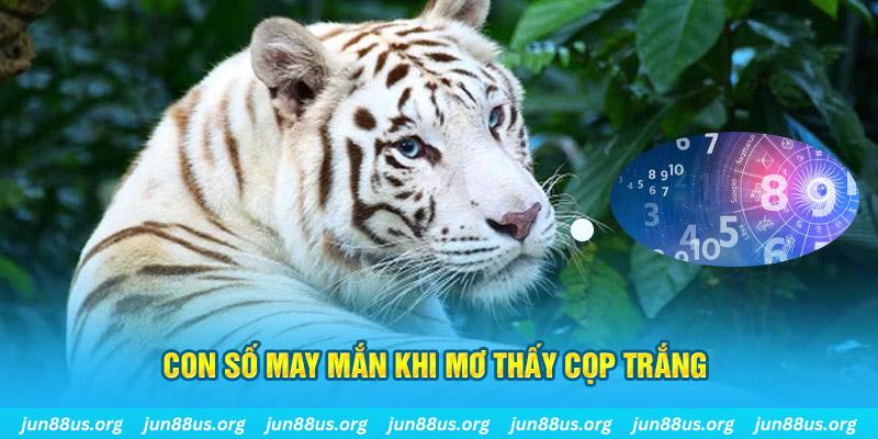 188bet app đá gà trực tiếp 88